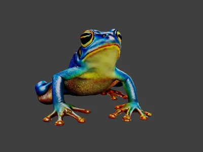 Frog Animal Low-poly 3D model