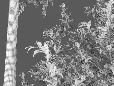 Prunus Padus 04 3D model