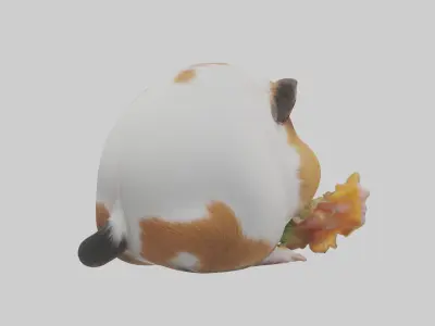 Guinea Pig nibbling model Low-poly 3D model