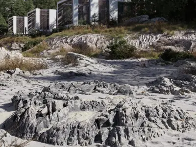  Medium Low Jagged Beach Rock Model 