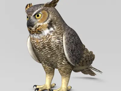 Great Horned Owl - Folded Wings 3D model