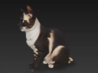 Cat Realistic 3D Model Basic - Low Poly Realistic Low-poly 3D model