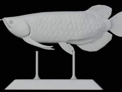 Arrowana Model for 3d printing Free 3D print model