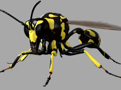 Potter or Mason Wasp 3D model