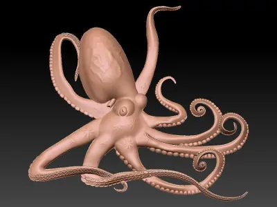 3D OCTOPUS with tentacles 3D model