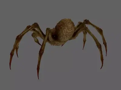 Creature 3D model