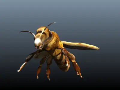 honey bee lowpoly Low-poly 3D model