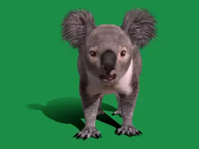 Koala Bear Mammal Free low-poly 3D model