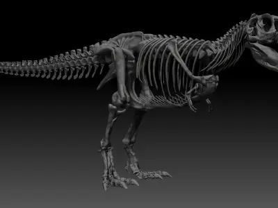 Dinosaur Tarbosaurus Bataar Full Set  3D model