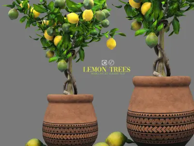lemon trees 3D model
