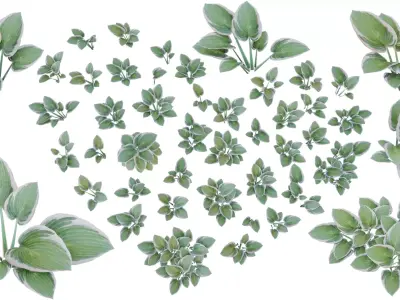 Small plants - low poly - 6 Variations - 281 Models Free low-poly 3D model
