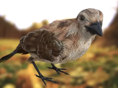 sparrow bird flying in sky 3D model