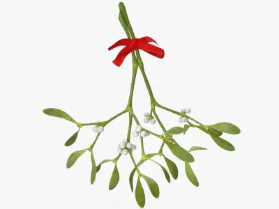 Mistletoe with Red Bow 2 3D model