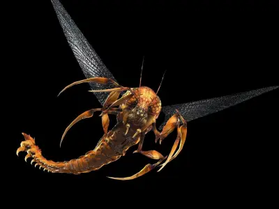 Flying Bug 10 Low-poly 3D model