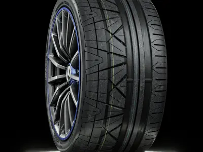 Nitto Invo 305 30 ZR19 3D model