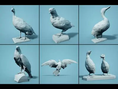 Bird Collection V1 Low Poly Models Low-poly 3D model