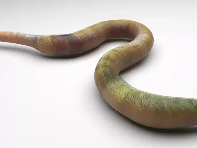 Green Worm 3D model