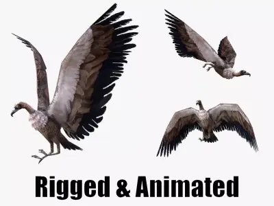low-poly animated vulture Low-poly 3D model
