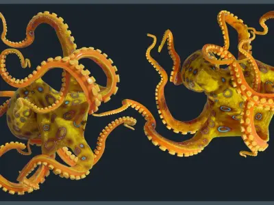 Octopus Mega Pack Low-poly 3D model