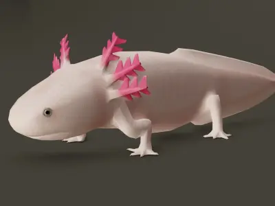 Low Poly Salamander 3D model lizard Low-poly 3D model