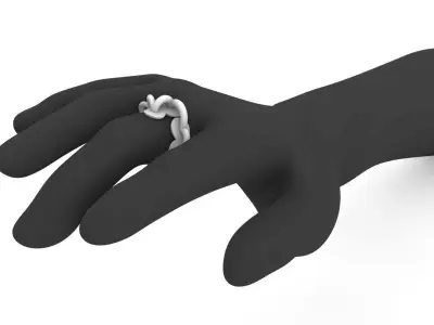 watching a fly over water Ring 3D print model