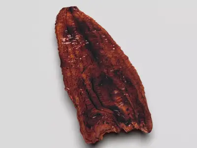 Grilled Eel 3D model