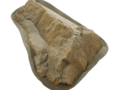  Small Curved Beach Rock Model 