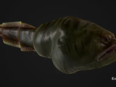 Fish low poly model - Moray Eel fish - horror - monster fish 4 Low-poly 3D model