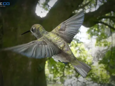 Hummingbird Animated Unity Low-poly 3D model
