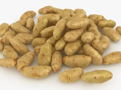 Potato Pile 3D model