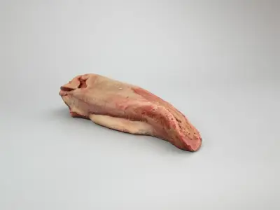 Raw Pig Tongue Low-poly 3D model