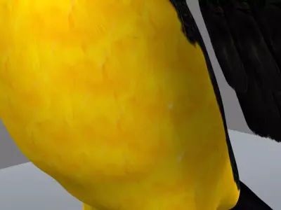 Blue winged mountain tanager open wings 3D model