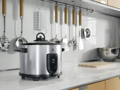  Rice Cooker Model, Black &amp; Silver 