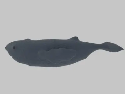 Whale - Scan Of A Clay Whale  Low-poly 3D model
