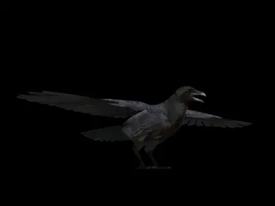 American Crow Bird Low-poly 3D model