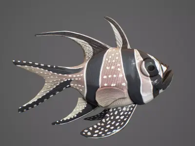  Pterapogon kauderni Low-poly 3D model