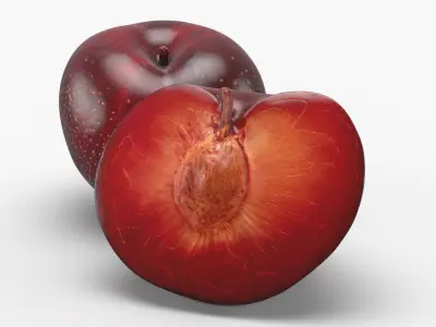 Plum 02 3D model