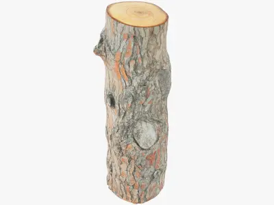 Logs Collection V2 3D model