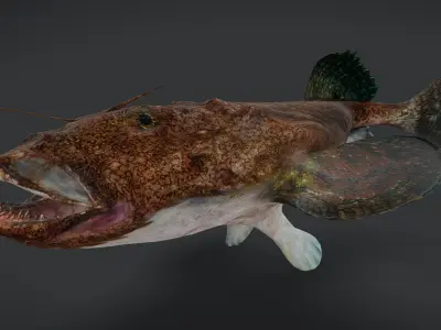 Goosefish - Anglerfish - Ocean Horror Monster - Animated 3D model