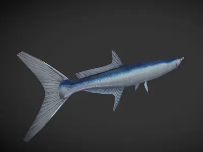 SwordFish fish with long tail Low-poly 3D model