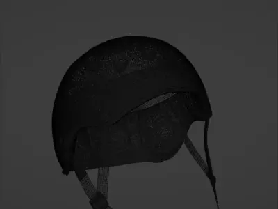 Pro-tec Helmet Free 3D model