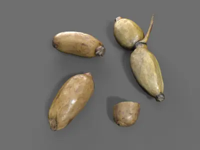 Lotus Root Low-poly 3D model