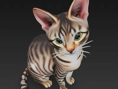 Cat Realistic 3D Model Basic - Low Poly Realistic  Low-poly 3D model