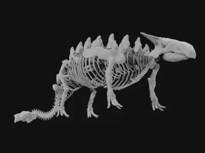 Ankylosaurus skeleton 3D model