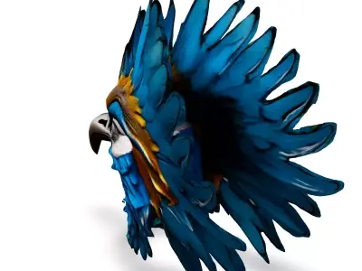 Stylized Bird Head 3D Model Low-poly 3D model