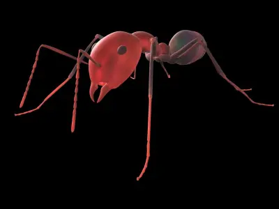 3D lowpoly Model of an Ant  Ready to use  Low-poly 3D model