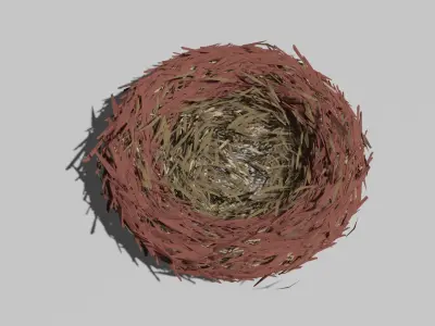 Bird Nest  Low-poly 3D model