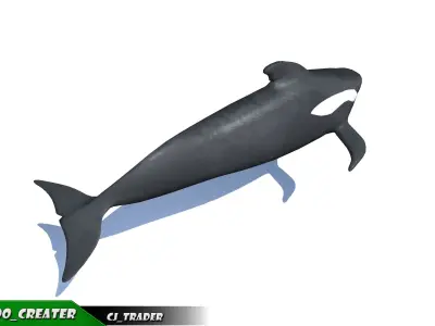 Low-Poly Long finned Whale Rigged Animated 3D model Low-poly 3D model