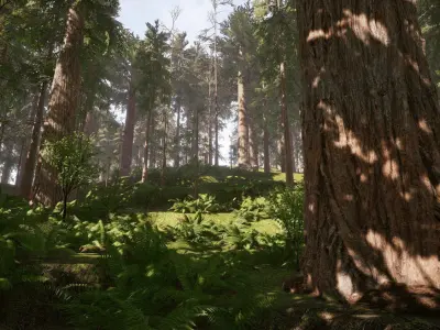 Redwood forest for game ready Low-poly 3D model