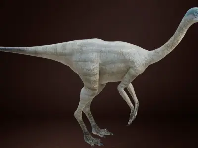 Struthiomimus dinosaur Low-poly 3D model